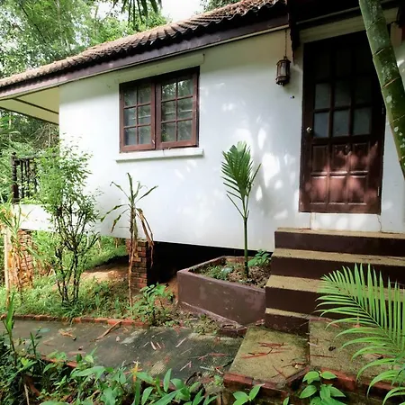 Poseidon Bungalows-3